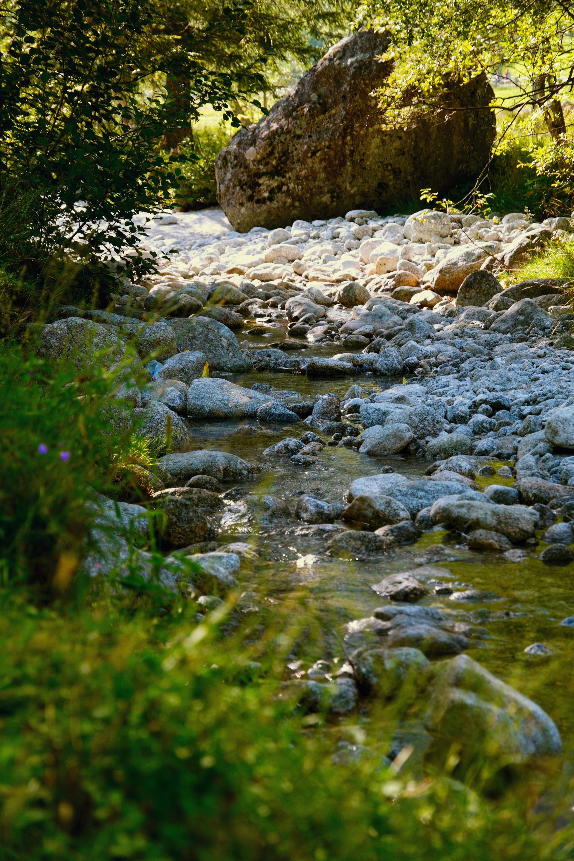Stream flowing over rocks, large boulder in background, sunlight filtering through trees.