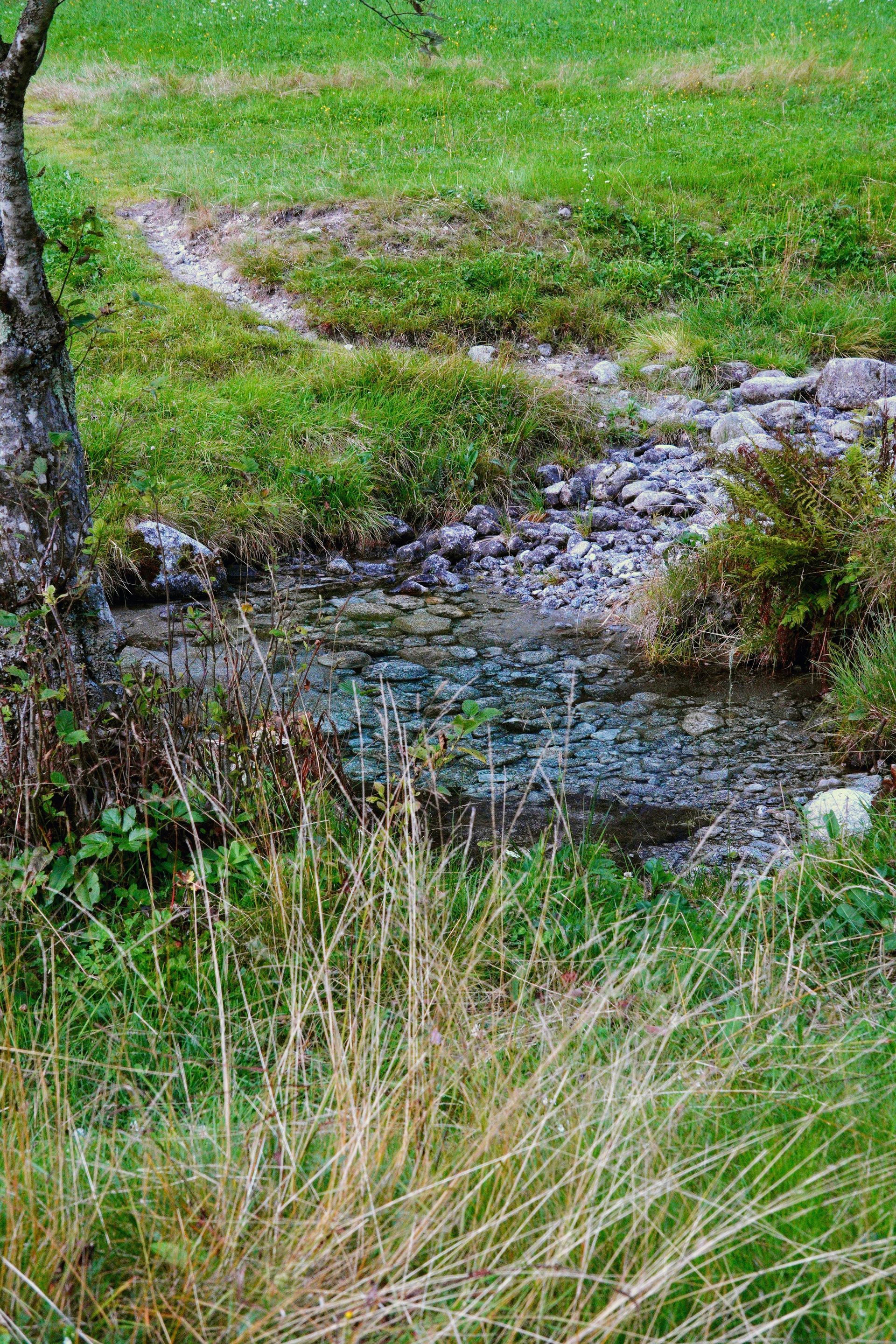 Stream flowing through a grassy field, with rocks and a tree on the left side.