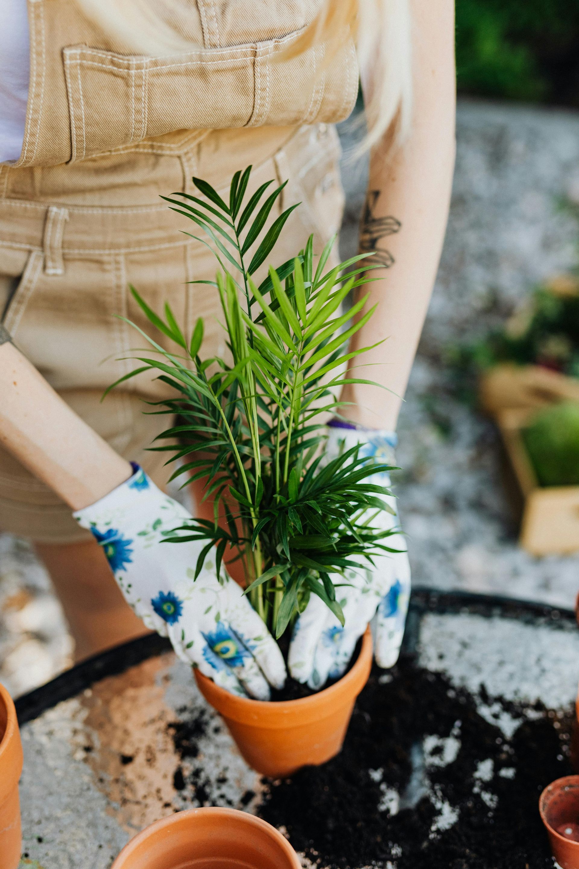 Person in overalls and gloves potting a plant outdoors.