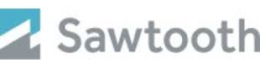A sawtooth logo with a blue arrow on it