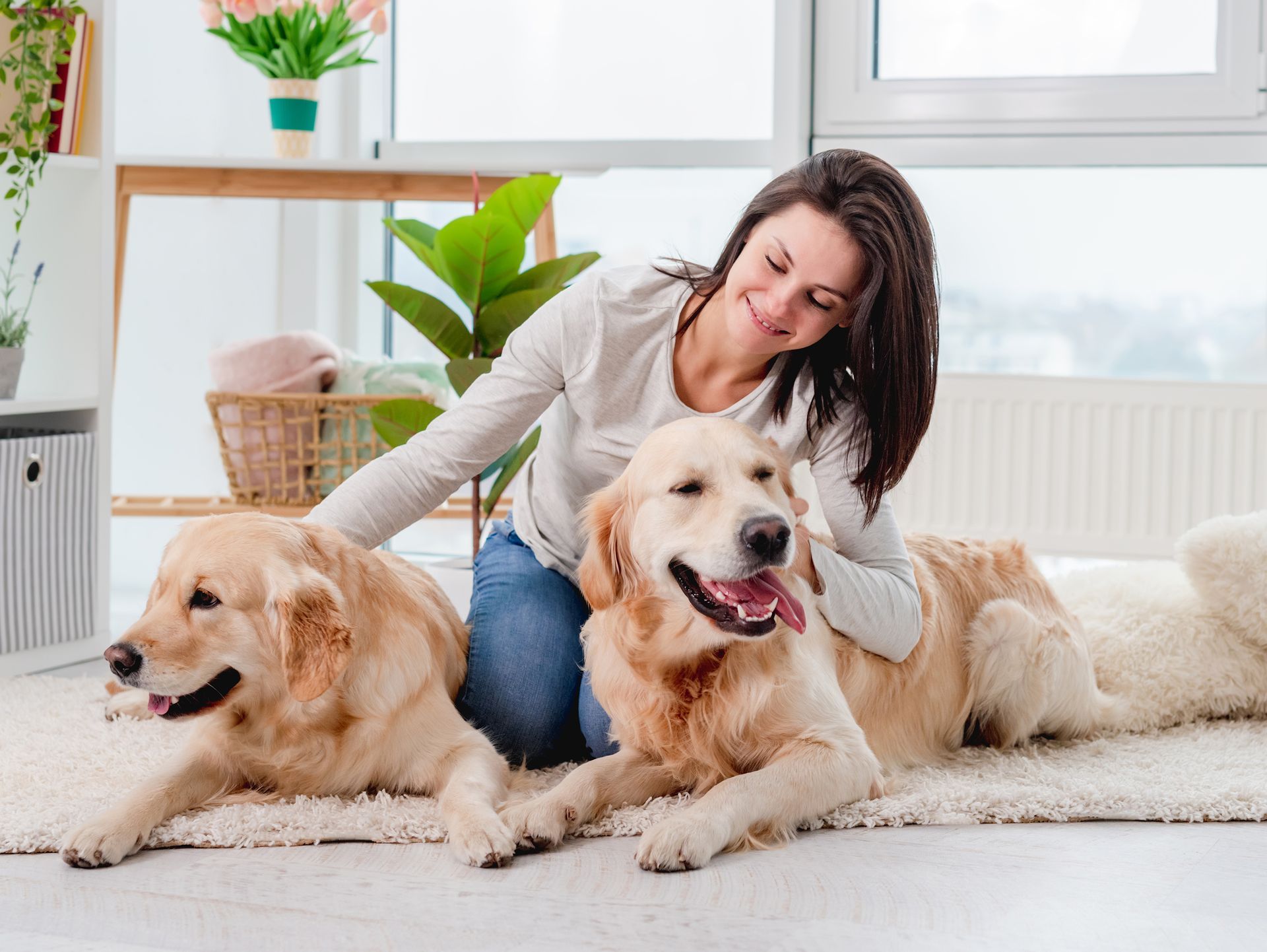 Owner and pets