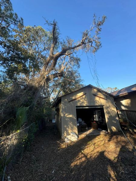 A tree leans on a shed; blue sky in the background, with debris on the ground.