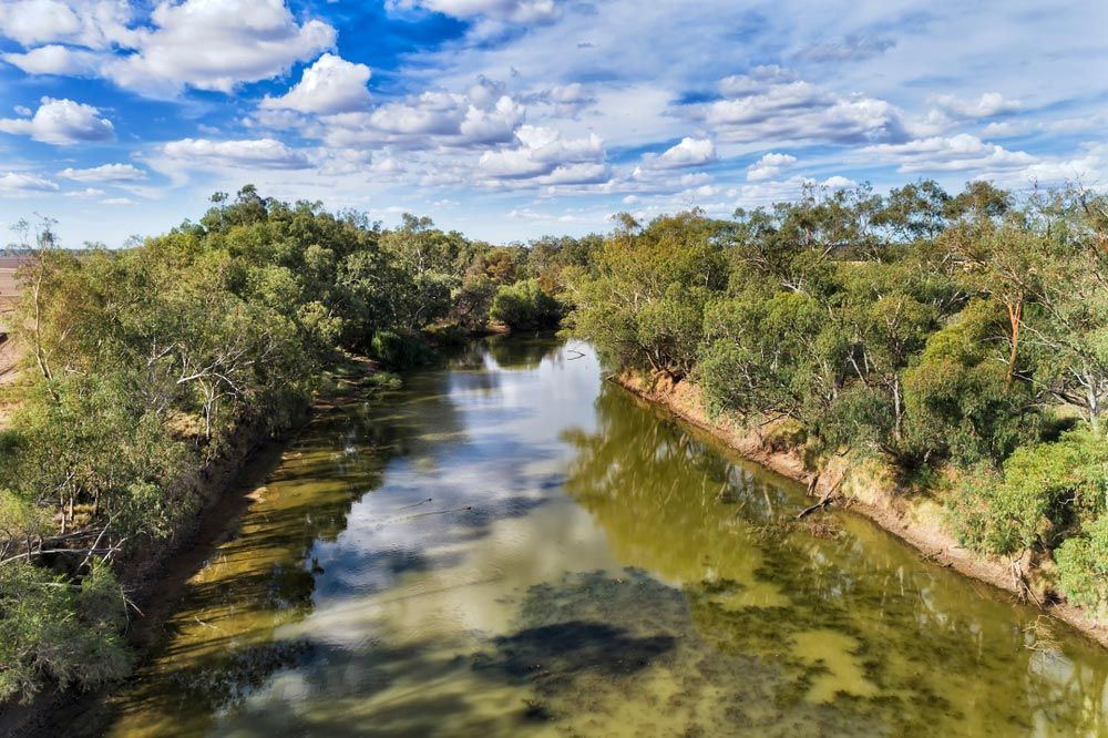 Small Lazy Fresh Water Gwydir River In Narrabri Shire Around Moree Town With Gumtrees Growing On Shores Under Blue Sky In Arid Climate — High-Quality Building Supplies in Narrabri, NSW