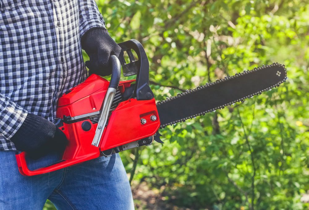 Lumberjack In A Black And White Checkered Shirt Sawing A Chainsaw — Quality Hardware & Tools in Tamworth, NSW