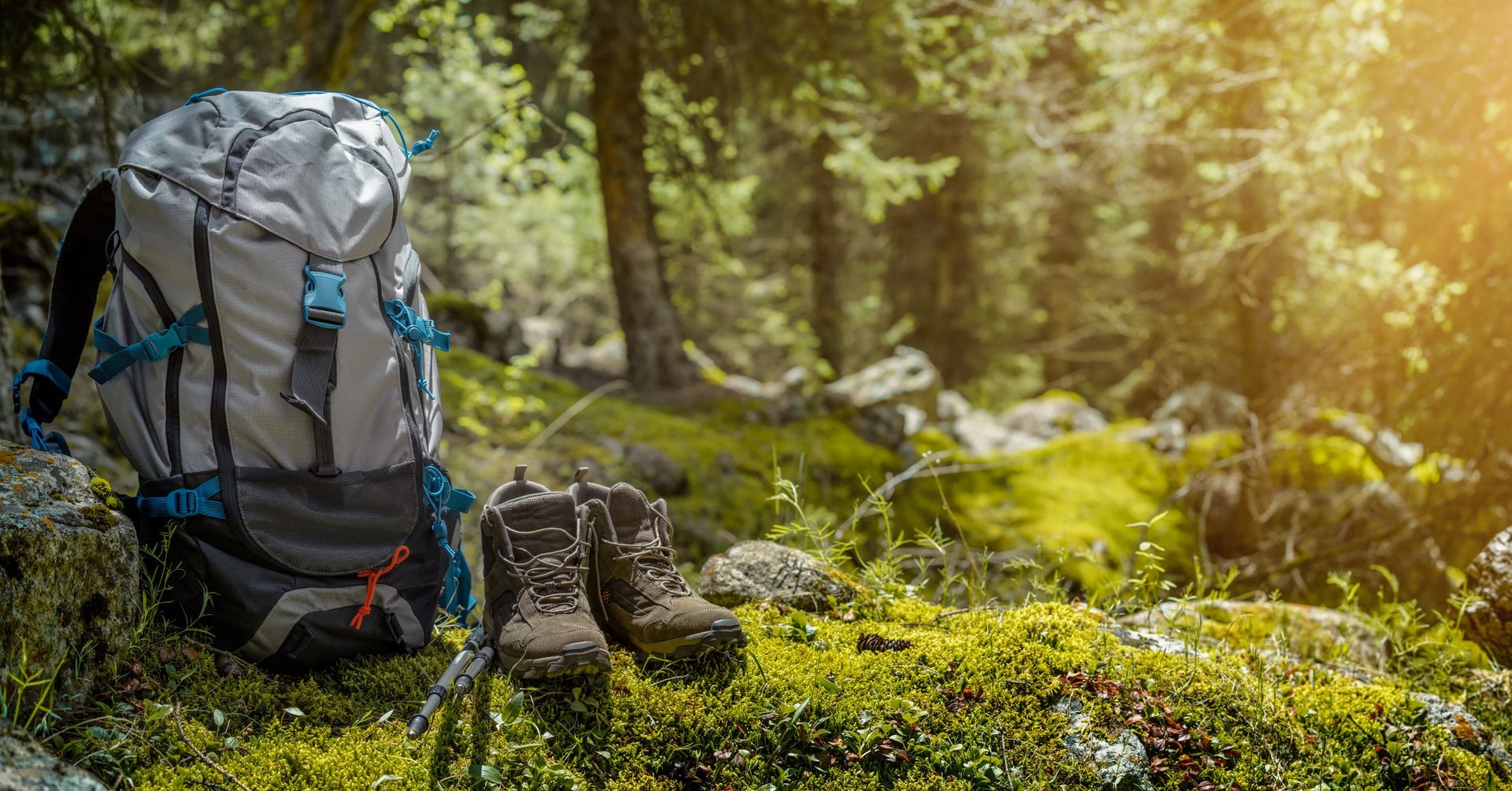 Backpack and hiking boots on mossy ground in a sunlit forest.