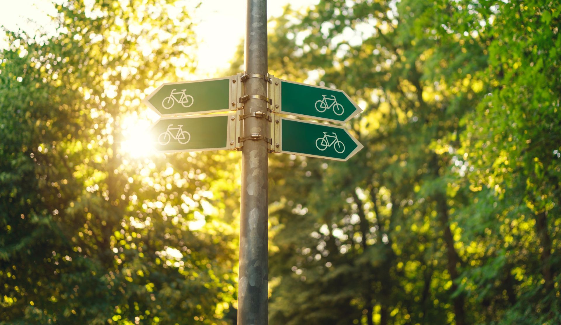 Bike path directional signs in a park, pointing in multiple directions; bright sunlight.