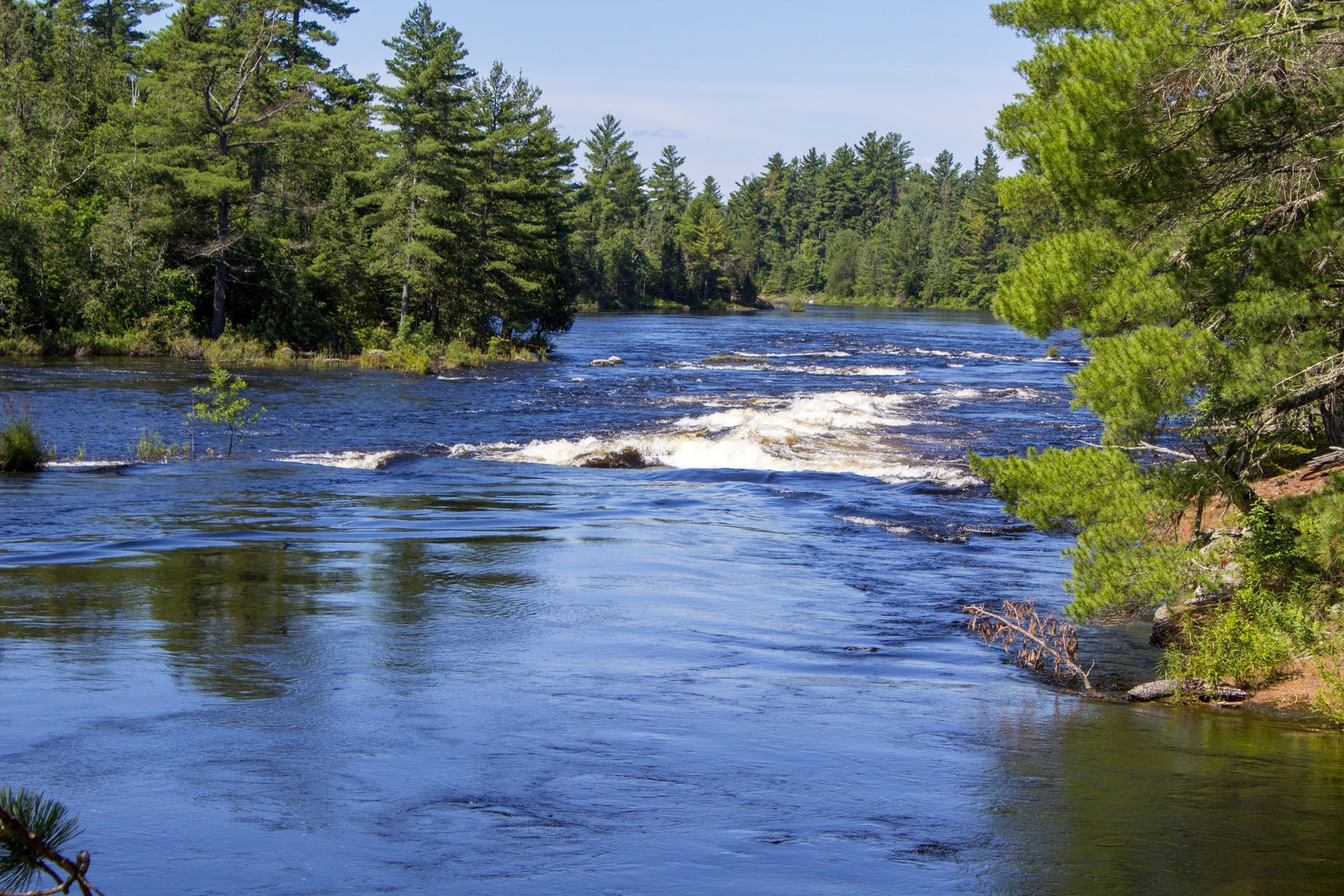 A river surrounded by trees on a sunny day