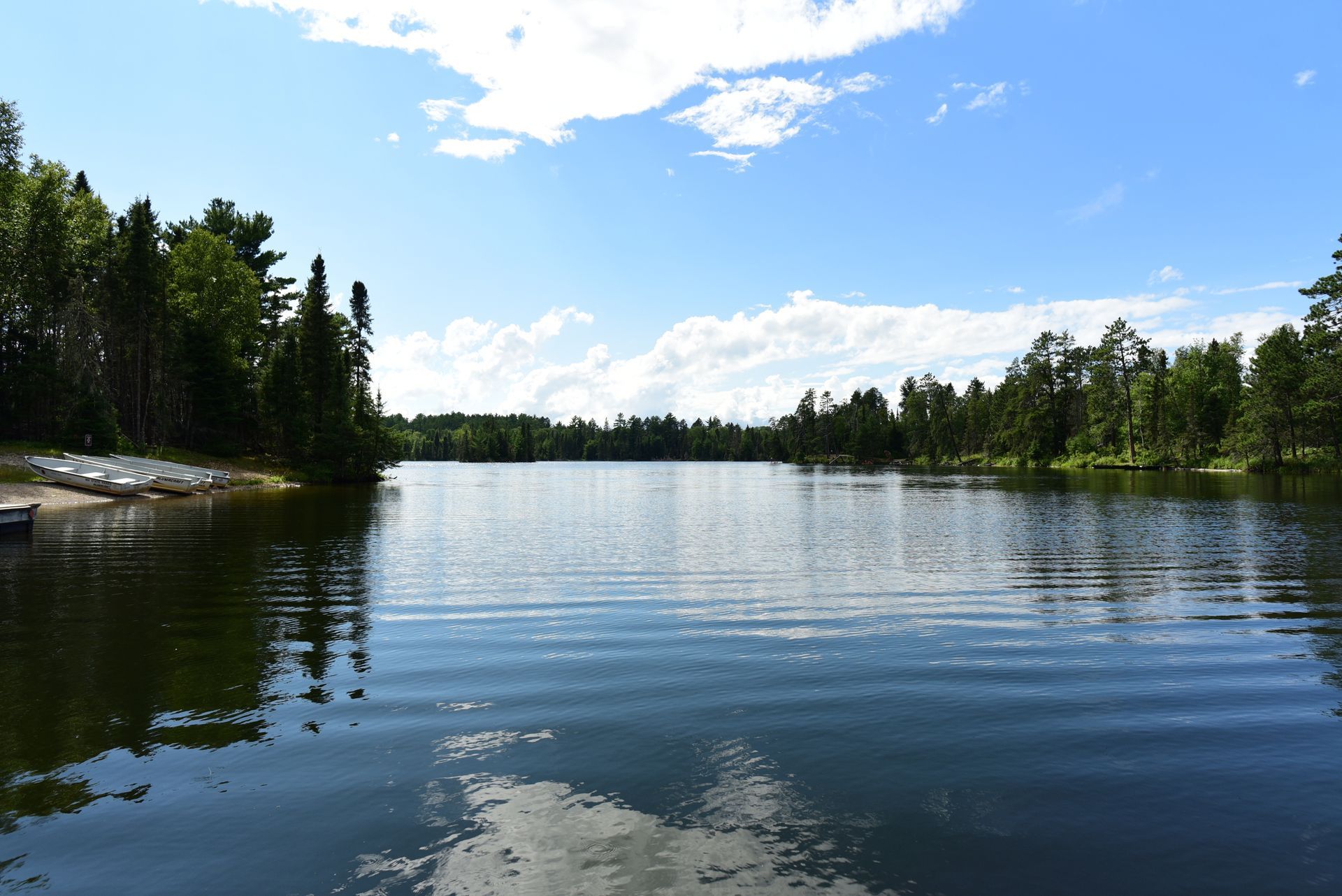 A large body of water surrounded by trees on a sunny day