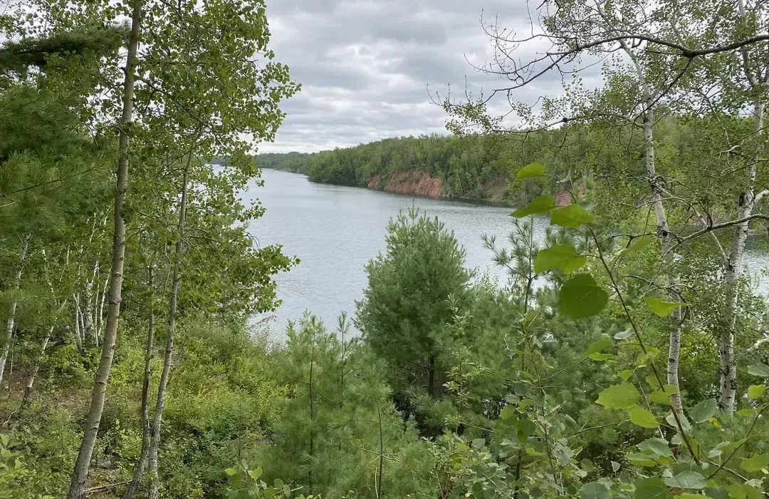 A large body of water surrounded by trees on a cloudy day.