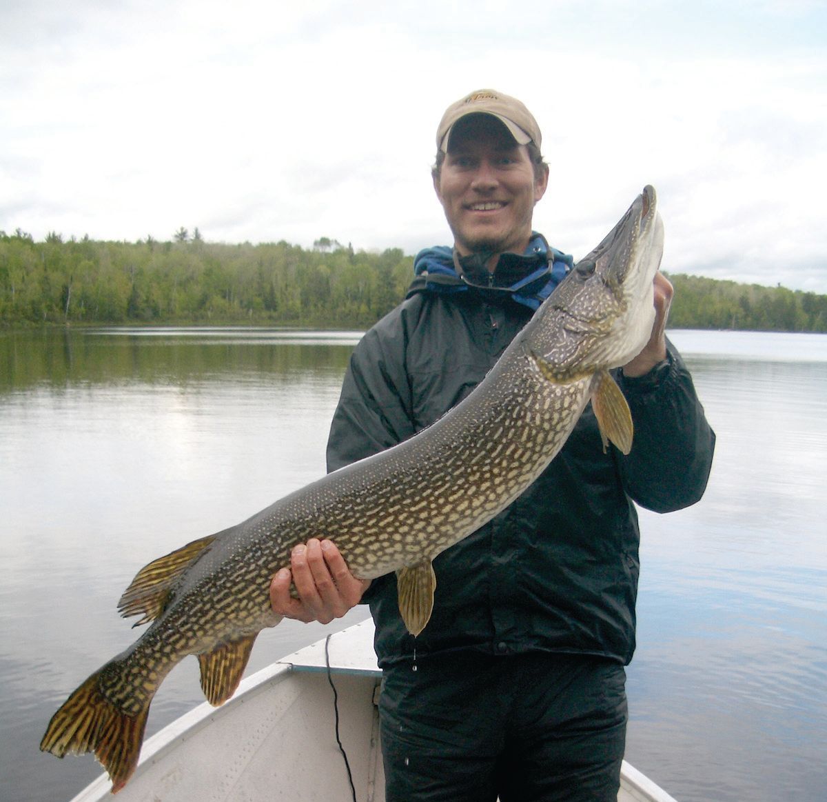 A man in a boat is holding a large fish