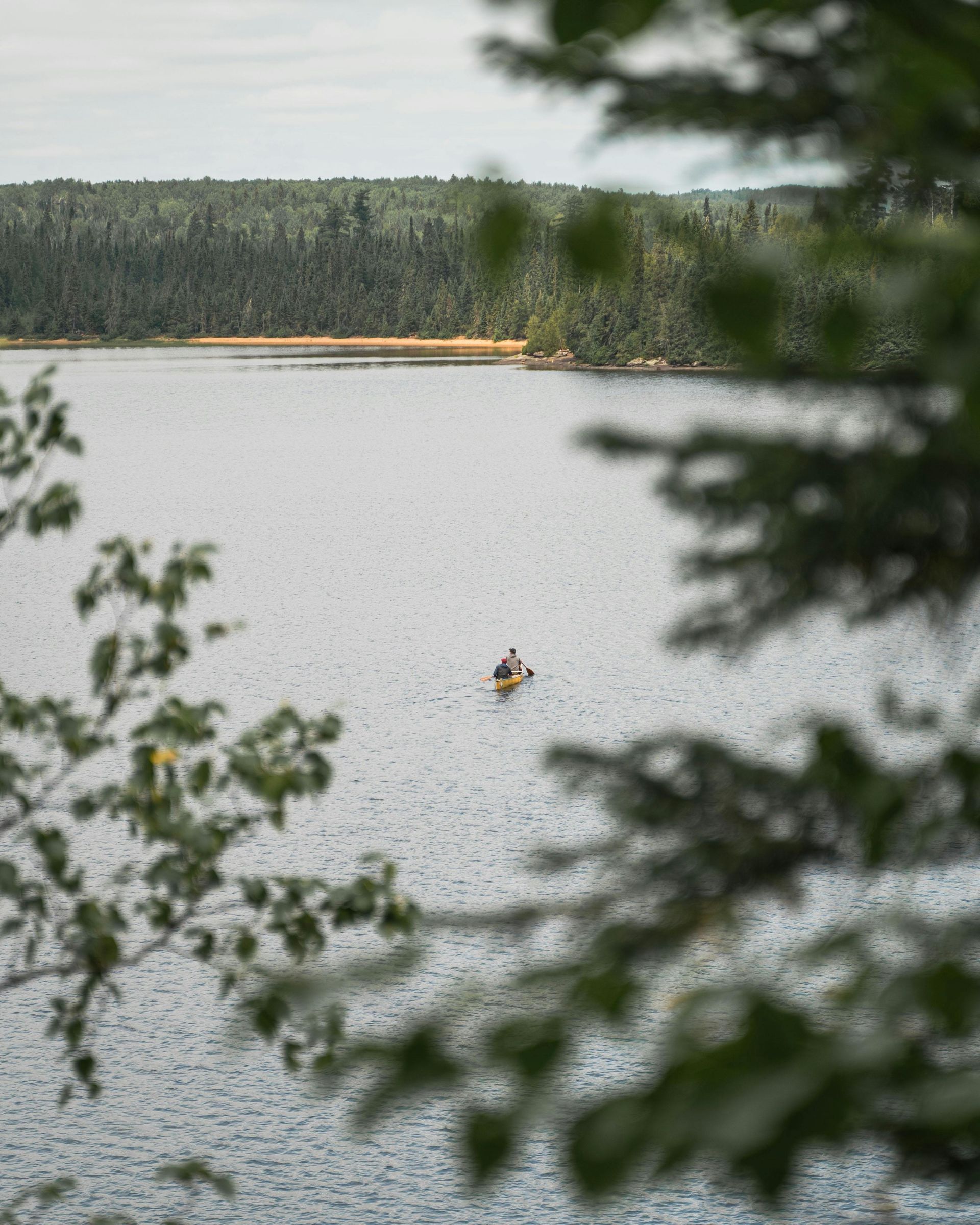 A person is rowing a kayak on a lake surrounded by trees.