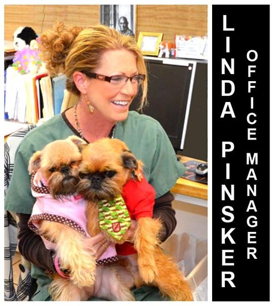 Home Santa Fe Animal Hospital Corpus Christi, Texas