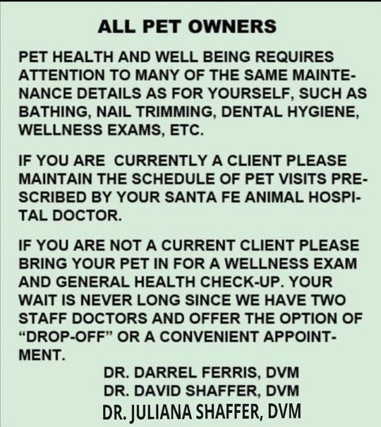 Home Santa Fe Animal Hospital Corpus Christi, Texas