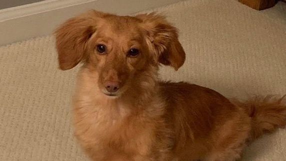 Improving Air Quality