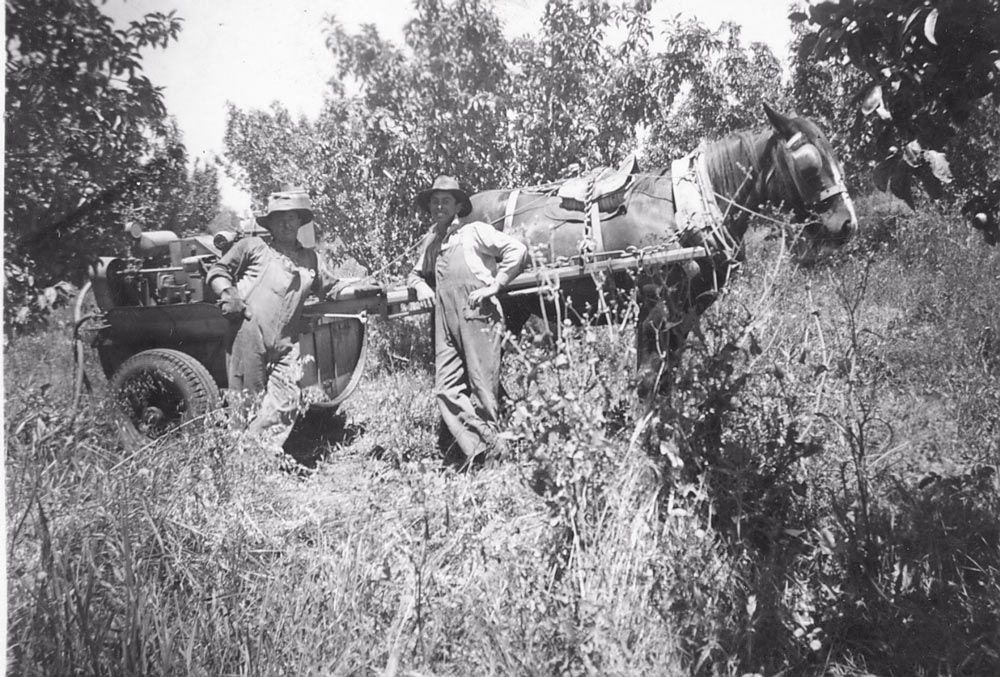 A Black and White Photo of a Horse Drawn Carriage — Lakeview Luxury Retreat in Canobolas, NSW