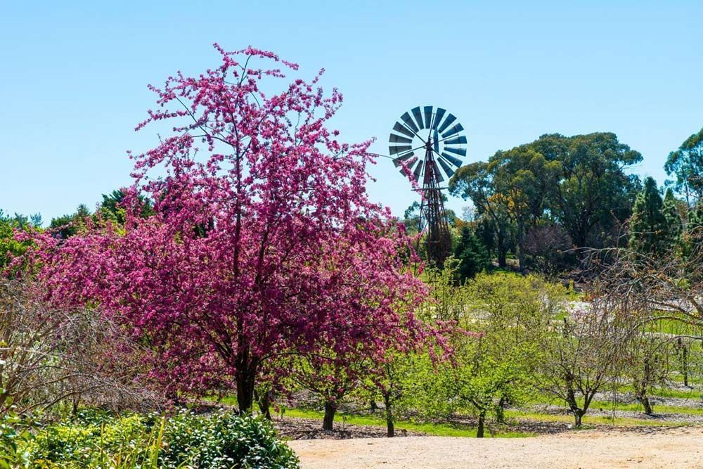 A Windmill is in the Middle of a Field With Trees in the Foreground — Lakeview Luxury Retreat in Canobolas, NSW