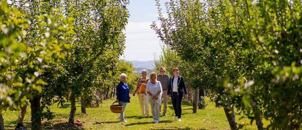 A Group of People Are Walking Through an Orchard — Lakeview Luxury Retreat in Canobolas, NSW