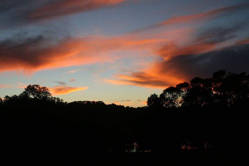 A Sunset With a Silhouette of Trees in the Foreground — Lakeview Luxury Retreat in Canobolas, NSW