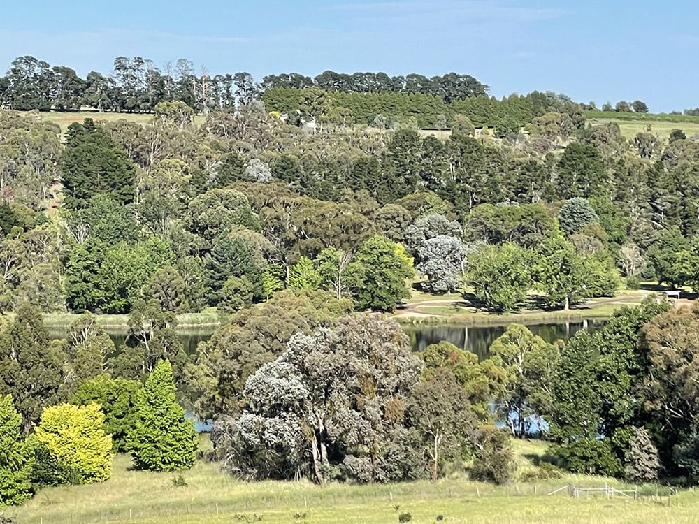 A Large Body of Water Surrounded by Trees on a Hillside — Lakeview Luxury Retreat in Canobolas, NSW