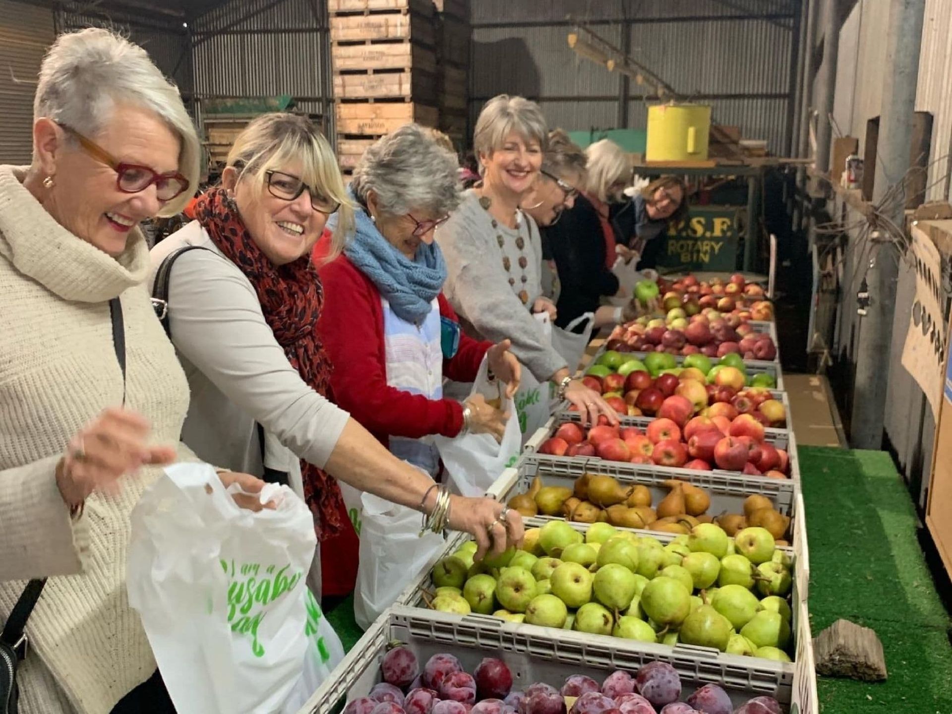 A group of lady's grabbing apples. Lakeview Luxury Retreat in Canobolas, NSW