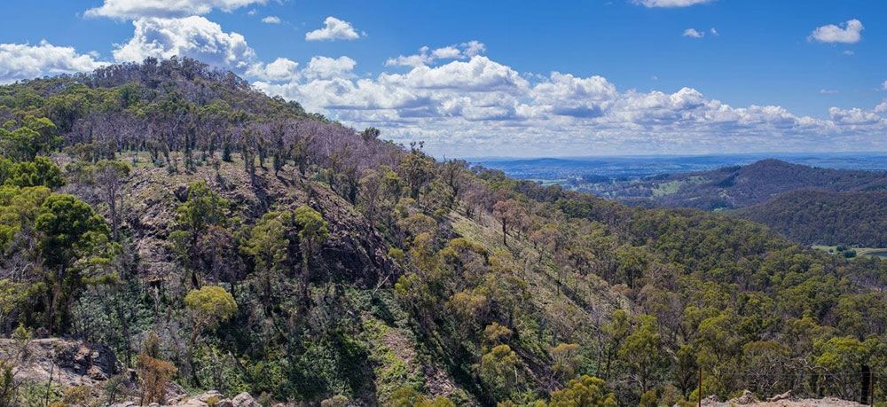 A View of a Mountain Covered in Trees on a Sunny Day — Lakeview Luxury Retreat in Canobolas, NSW