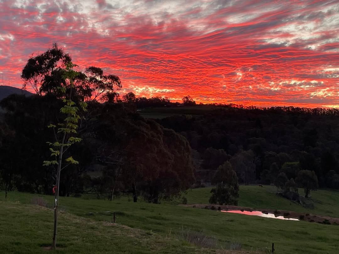 A Bottle of Wine is Being Poured Into a Glass — Lakeview Luxury Retreat in Canobolas, NSW
