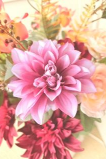 Debra Camp, Phlebotomist