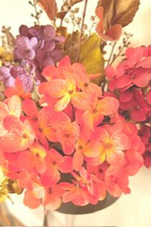 Sharon Balderrama, MA