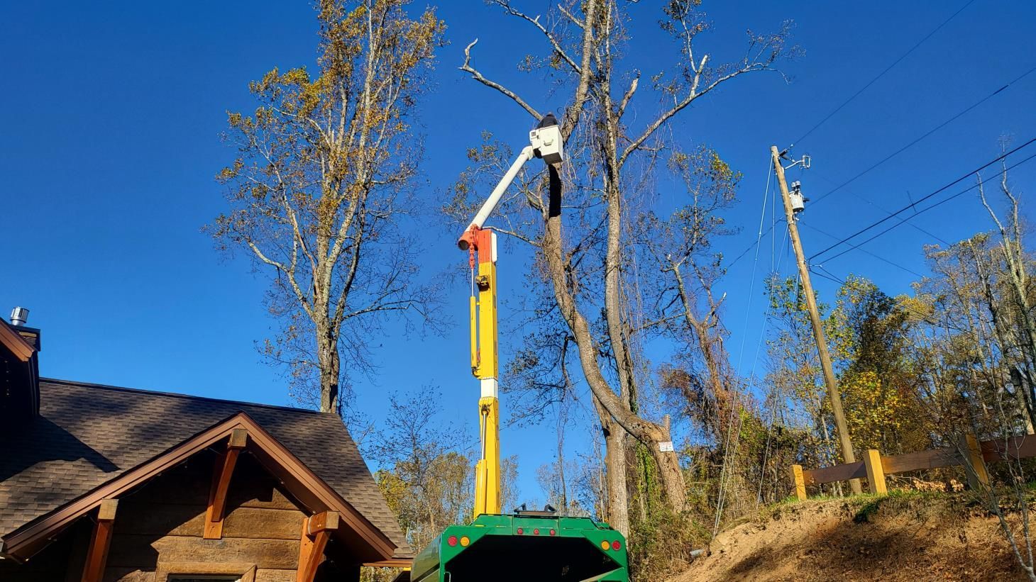 a man is cutting a tree with a chainsaw