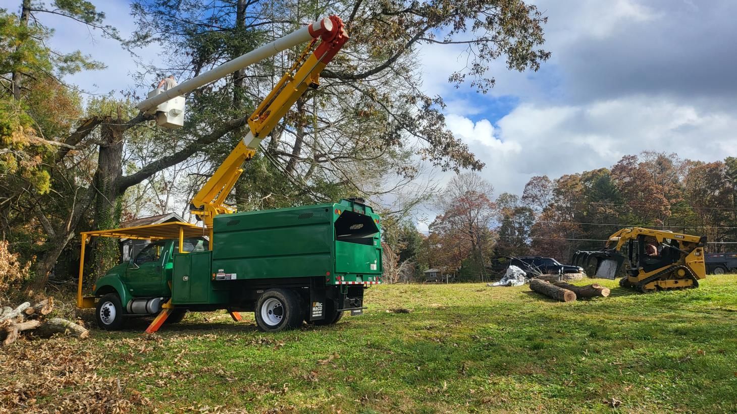 a man in a crane cutting a tree next to a truck full of leaves