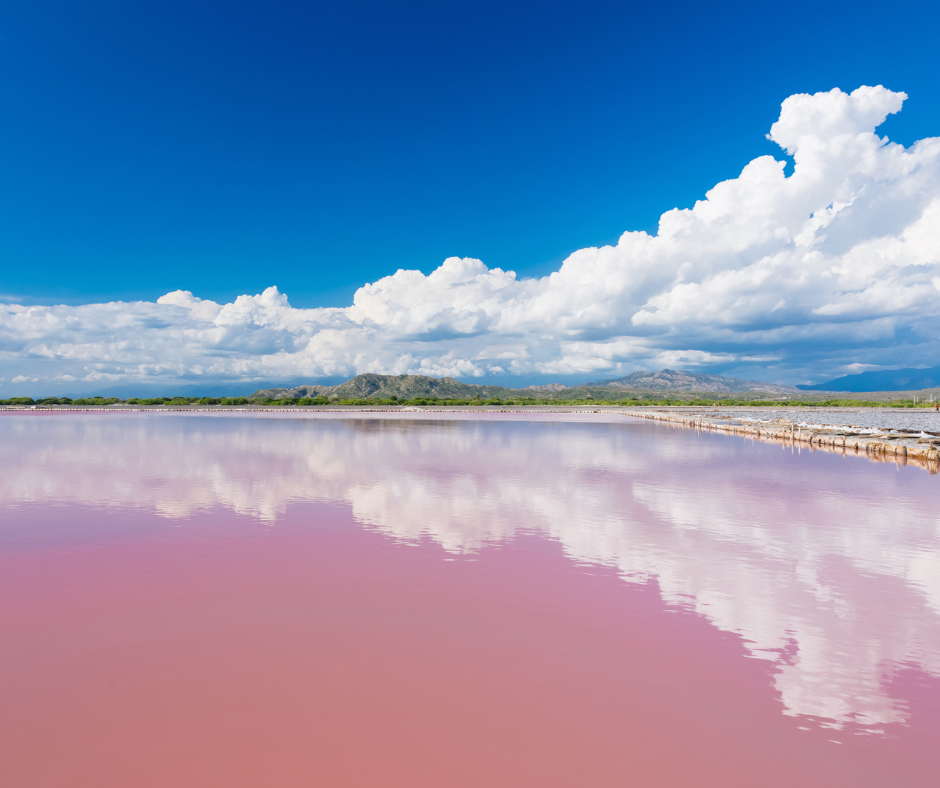 Un passeport, un billet d'avion et un globe sur fond bleu.