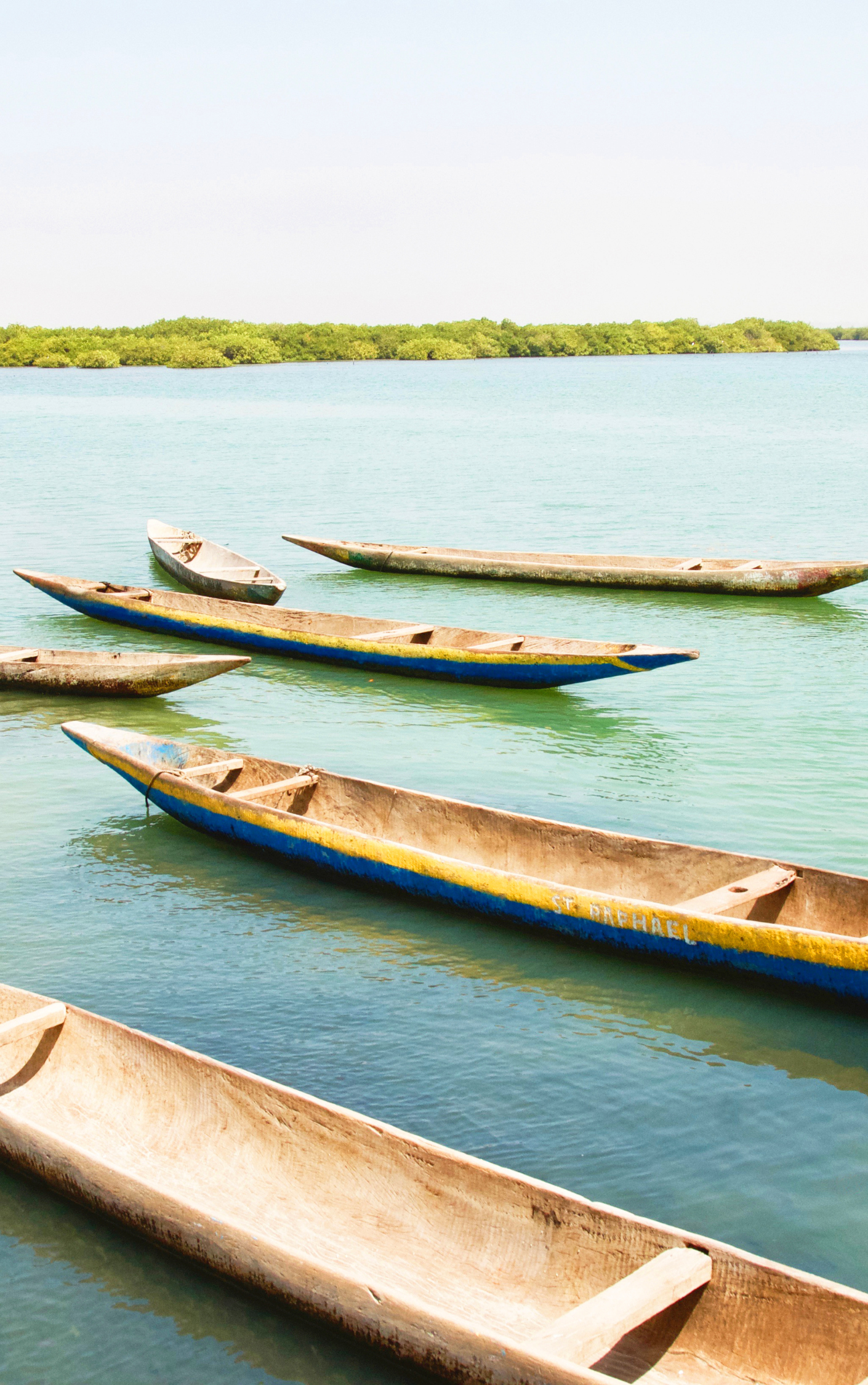 Un groupe de bateaux flotte sur un plan d'eau.