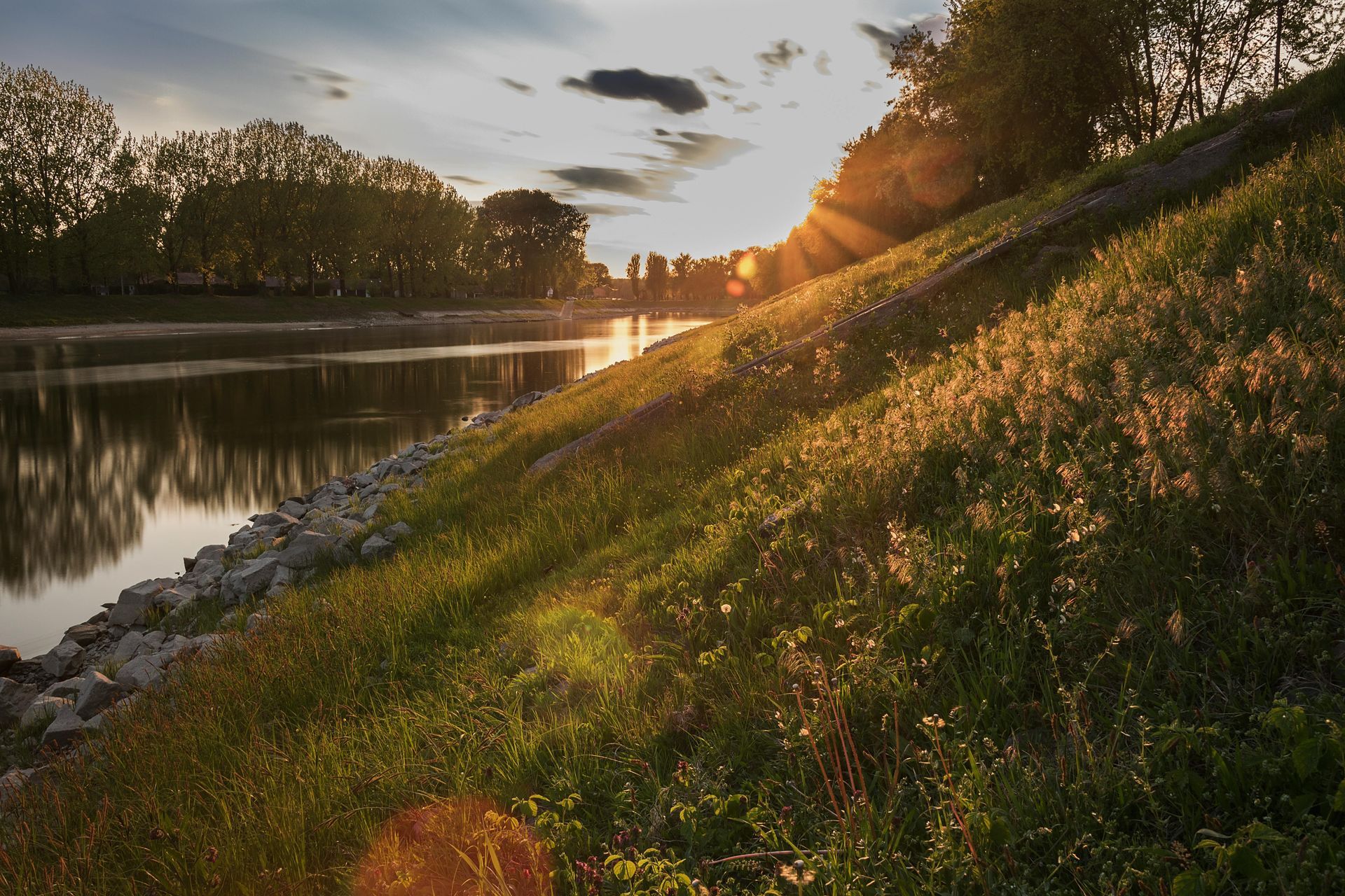 The sun is shining through the trees on the shore of a lake