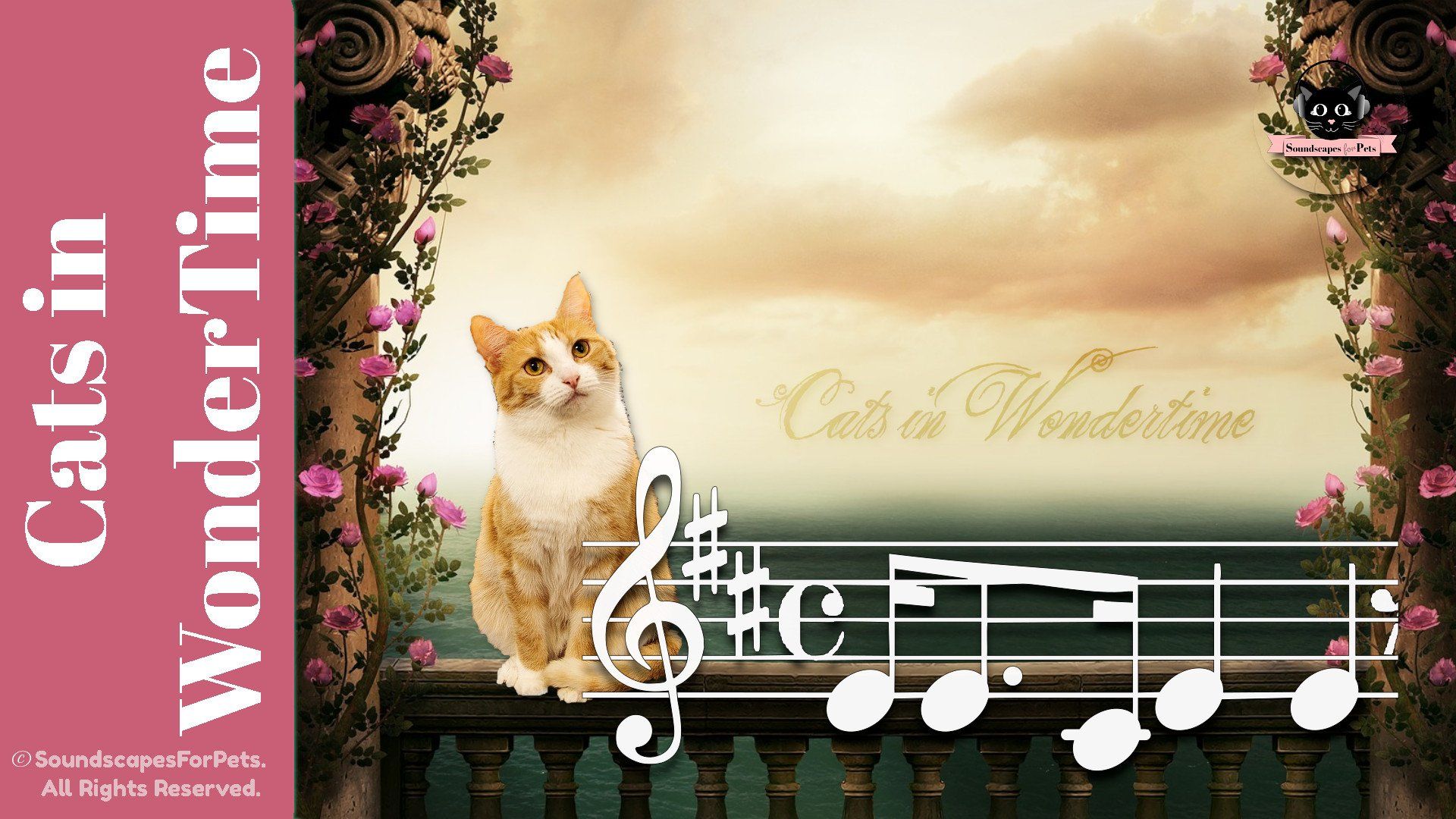 Cats in Wondertime ♫ - Soundscapes For Pets