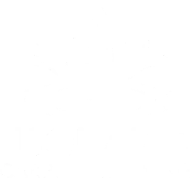 HSquared Carpet Cleaning