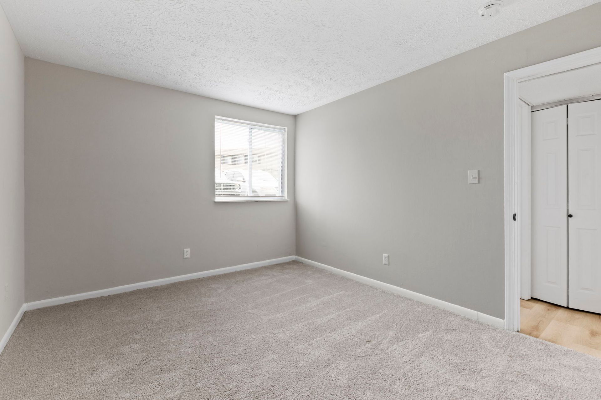 Empty bedroom with light gray walls, beige carpet, a small window, and a white door.