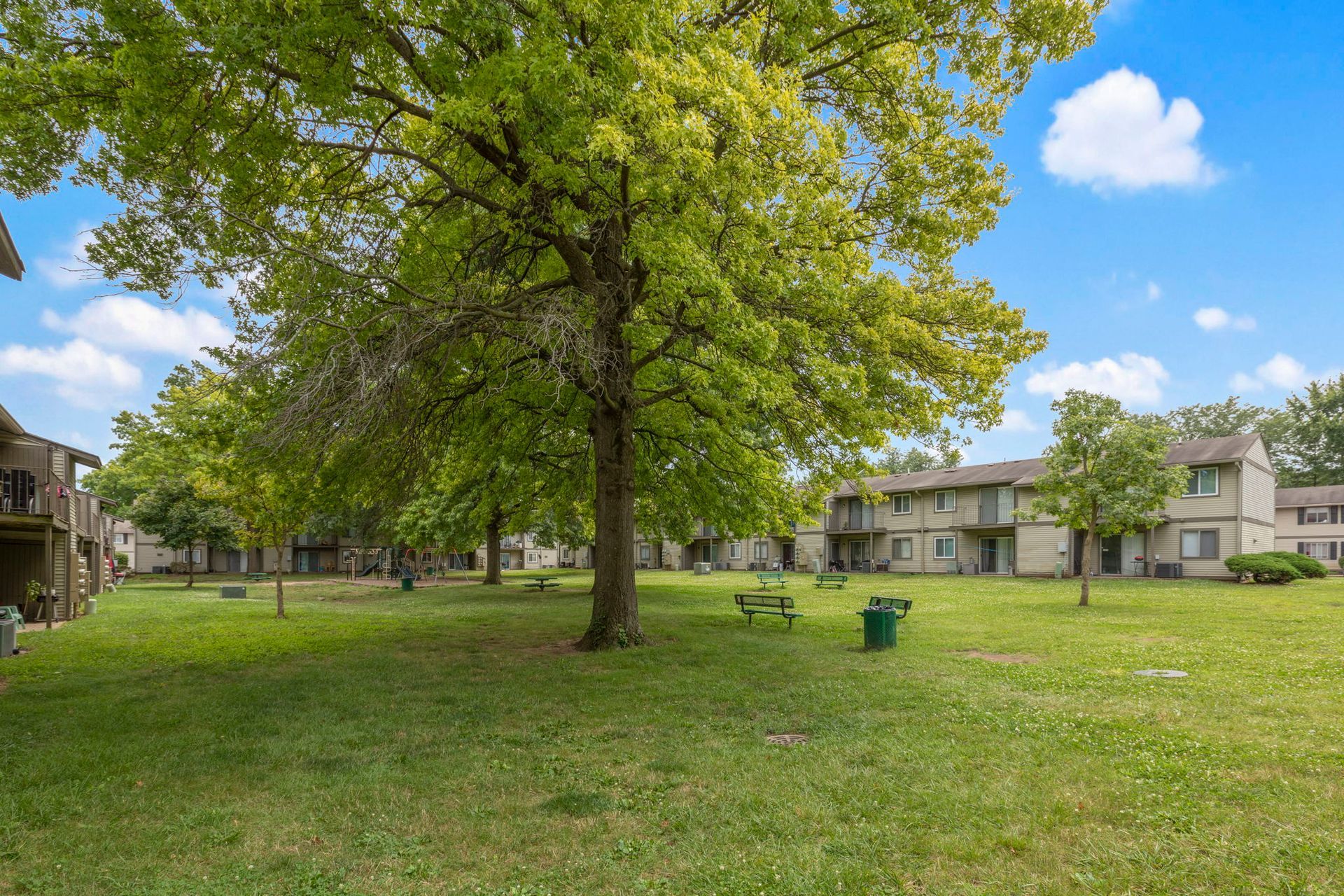 Grassy courtyard with trees, benches, and a green trash can in front of two-story apartment buildings.