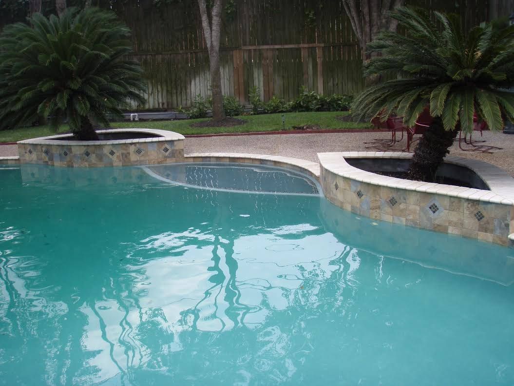 A swimming pool with a palm tree in the middle of it
