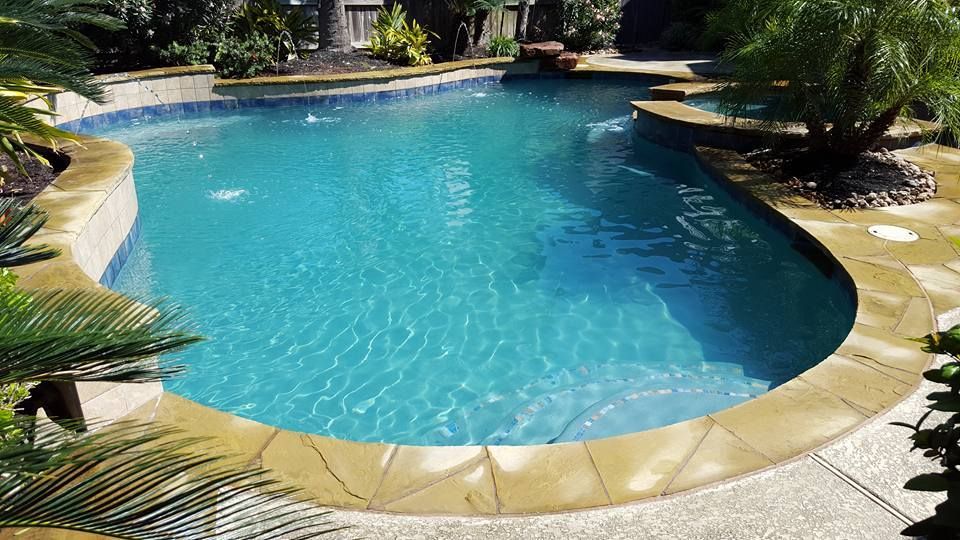 A large swimming pool is surrounded by palm trees