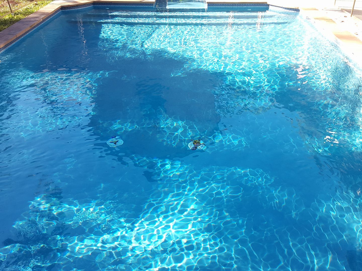 A large swimming pool filled with blue water.