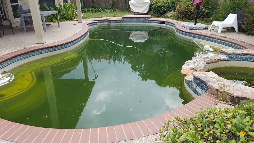 A swimming pool with a lot of green algae in it.