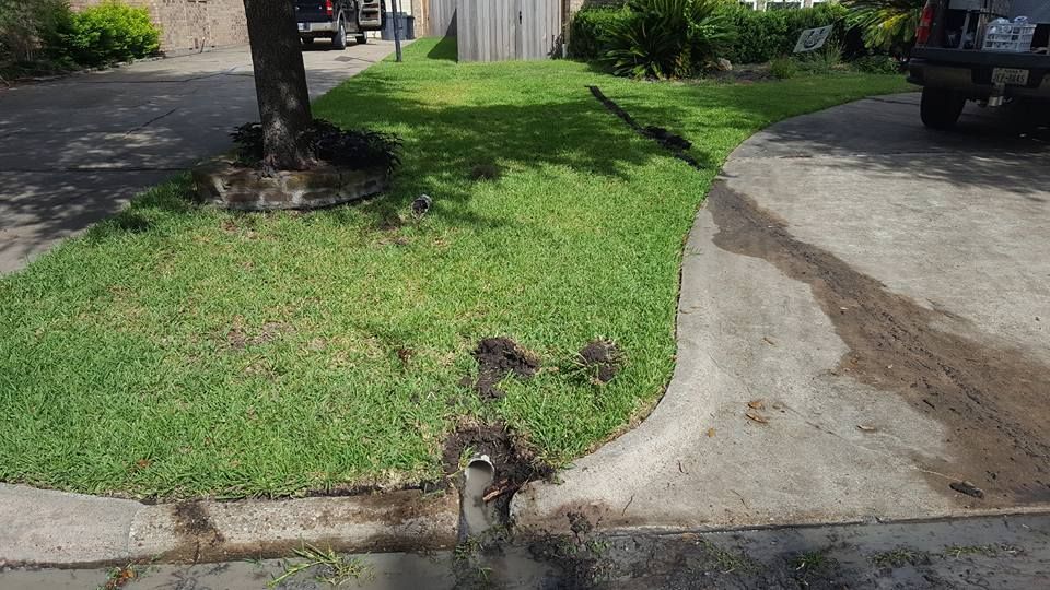 A car is parked in a driveway next to a lush green lawn.