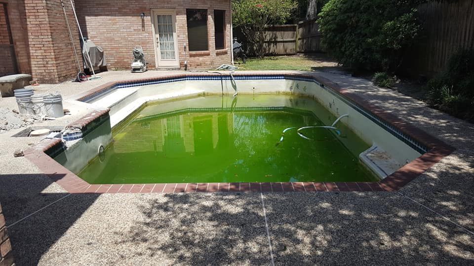 A swimming pool with a lot of green water in it.
