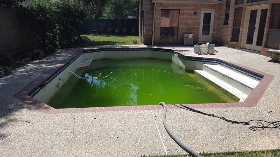 A green swimming pool with a hose attached to it.