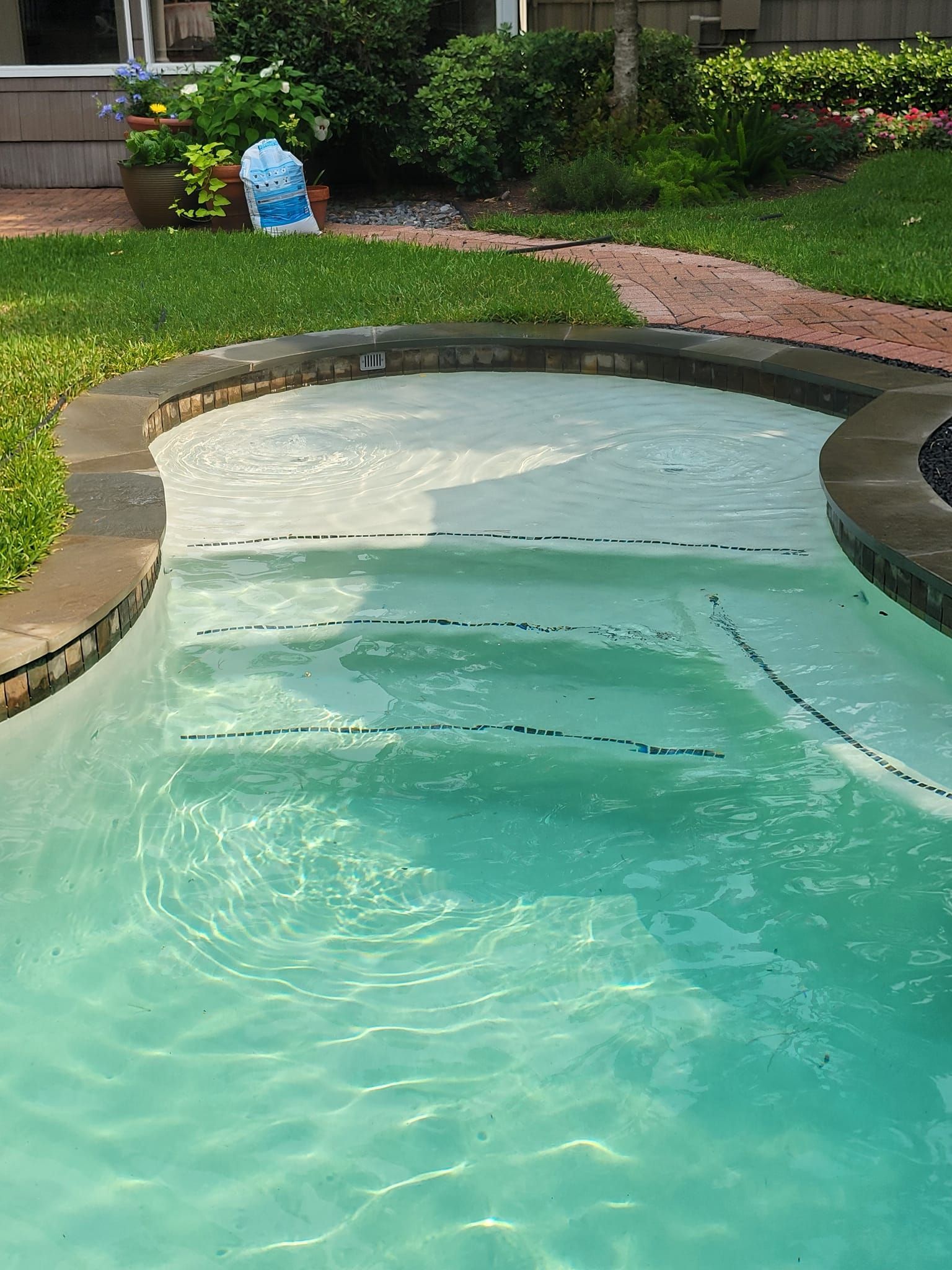 A swimming pool in a backyard with a brick walkway leading to it.