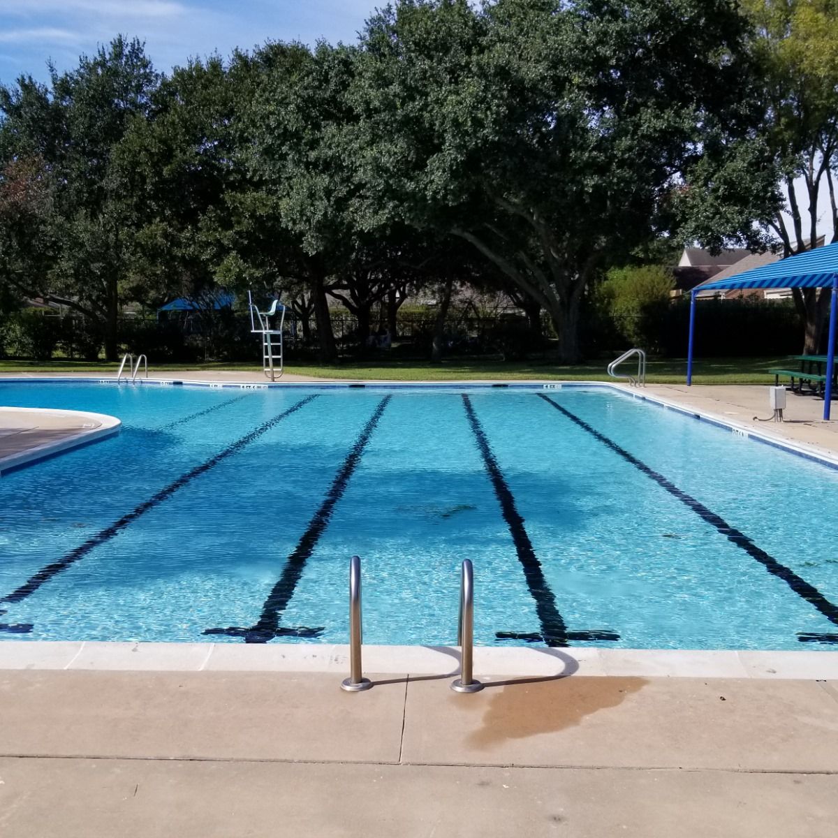 A large swimming pool with trees in the background