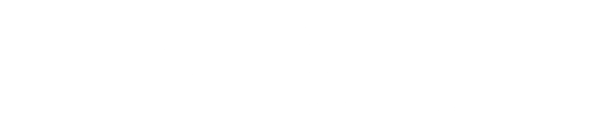 Logo TBubble