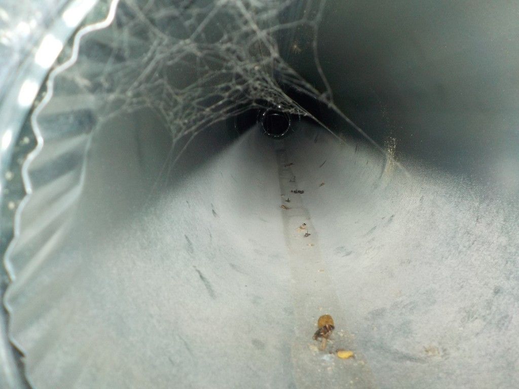 A close up of a spider web on a metal pipe
