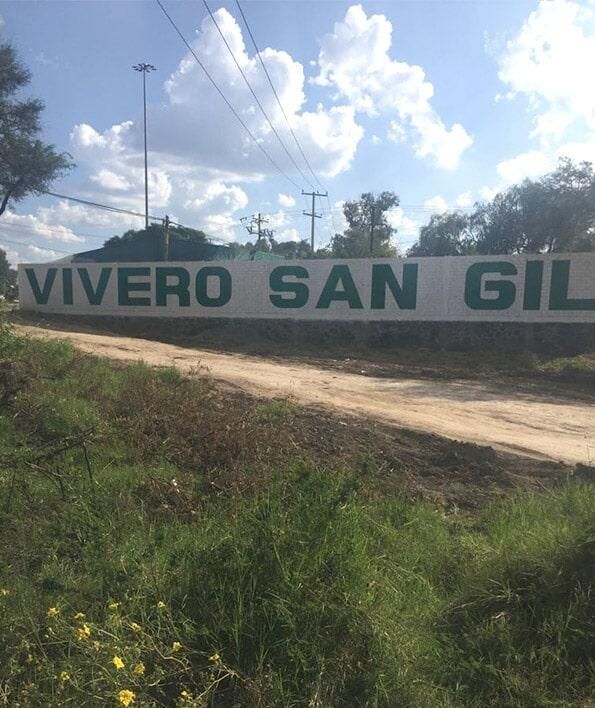 VIVERO SAN GIL