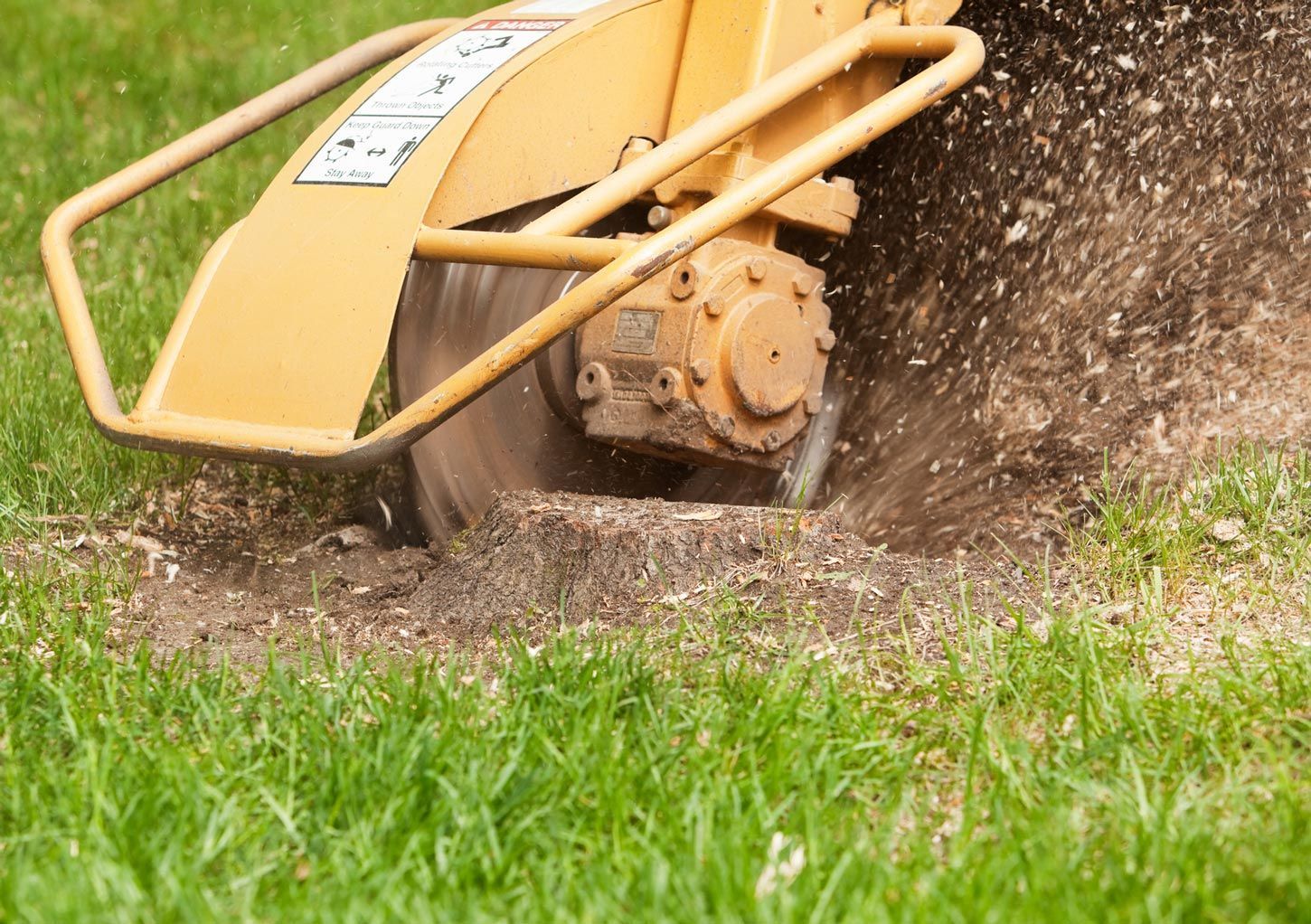 A stump grinder is cutting a tree stump in the grass.